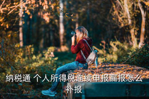 源泉扣繳如何補申報，個人所得稅代扣代繳系統(tǒng) 補申報怎樣操作