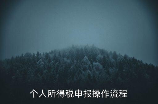 個人所得稅申報(bào)操作流程
