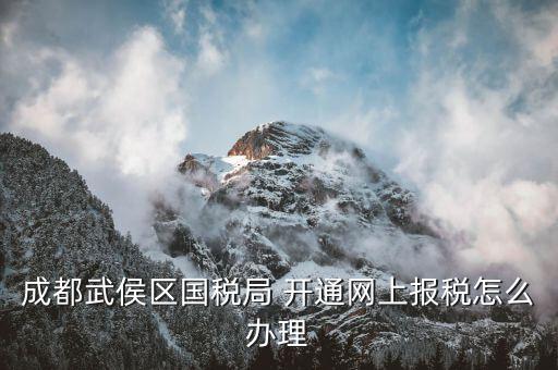 成都個(gè)體如何申報(bào)國(guó)稅，個(gè)體戶如何申報(bào)國(guó)稅和地稅