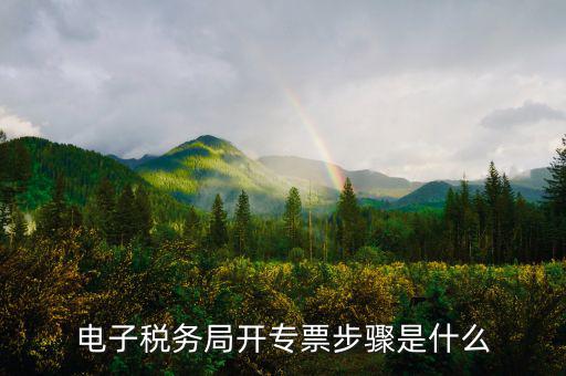 山西省稅務(wù)局網(wǎng)上如何開專票，如何開增值稅專用發(fā)票