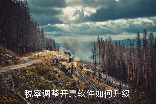 成品油企業(yè)開票系統(tǒng)如何升級(jí)，開票系統(tǒng)升級(jí)的步驟