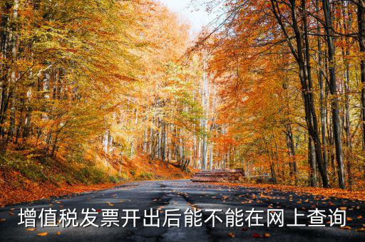 如何查詢發(fā)票完稅，稅控軟件上已經(jīng)開的發(fā)票怎么查詢