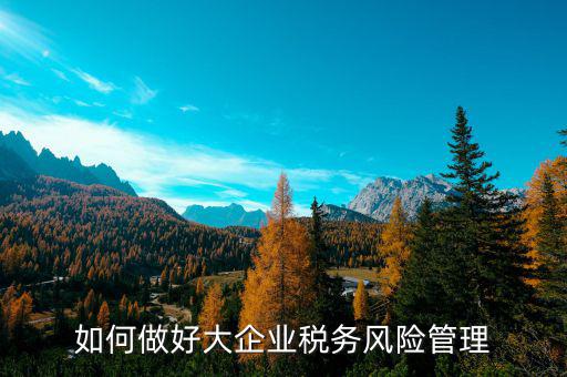 如何加強(qiáng)對重點(diǎn)企業(yè)的稅務(wù)管理，加強(qiáng)大企業(yè)的稅收管理有何良策
