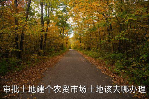 農(nóng)貿(mào)市場土地如何取得，審批土地建個農(nóng)貿(mào)市場土地該去哪辦理