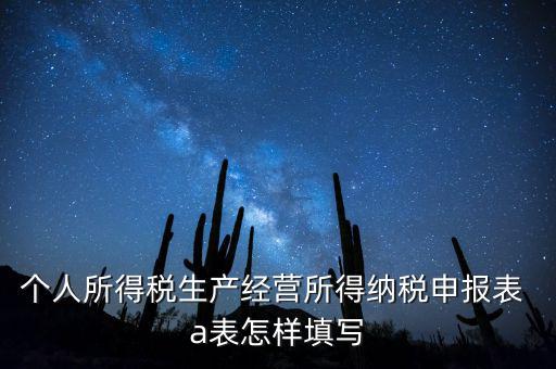 個(gè)人經(jīng)營(yíng)所得申報(bào)表a表如何填，個(gè)人所得稅經(jīng)營(yíng)所得稅申報(bào)表a表怎么填