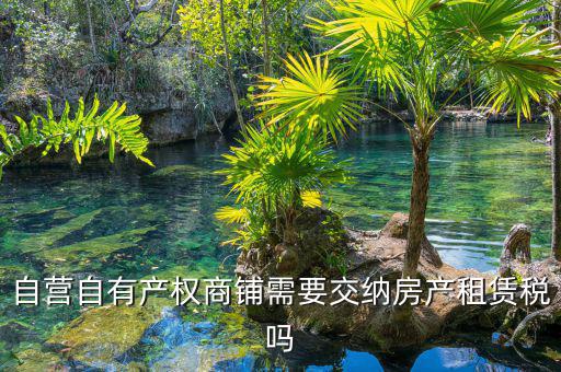 自有商鋪如何繳租賃稅，自有商鋪 是否交出租稅