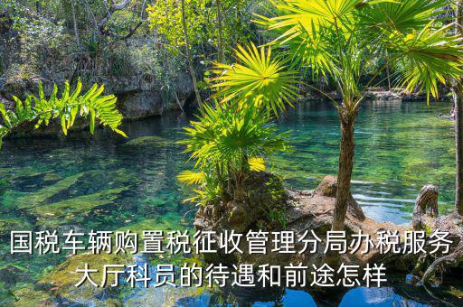 國(guó)稅車輛購置稅征收管理分局辦稅服務(wù)大廳科員的待遇和前途怎樣