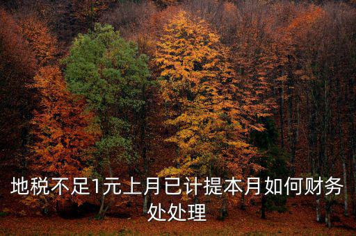 財務(wù)處如何落實數(shù)據(jù)地稅，地稅不足1元上月已計提本月如何財務(wù)處處理