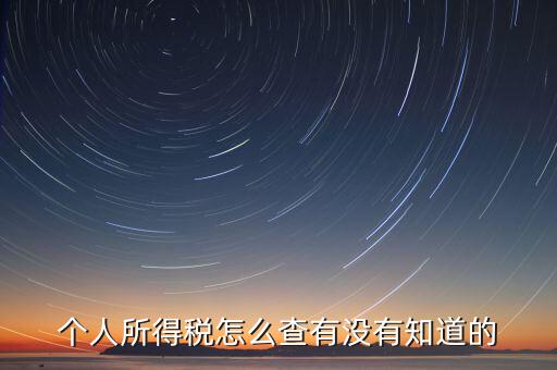 張家港個(gè)人所得稅如何查詢，個(gè)人所得稅怎么查有沒(méi)有知道的