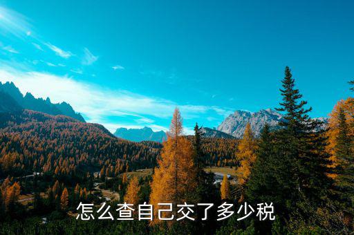 如何查定額稅，怎么查自己交了多少稅