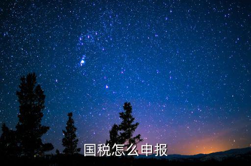 北京國稅如何登陸申報，國稅如何網(wǎng)上零申報 具體步驟有五個