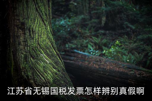 如何查詢無錫國稅發(fā)票真?zhèn)尾樵?，江蘇省無錫國稅發(fā)票怎樣辨別真假啊
