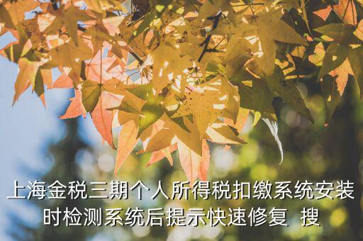 個稅安裝包如何恢復，上海金稅三期個人所得稅扣繳系統(tǒng)安裝時檢測系統(tǒng)后提示快速修復  搜