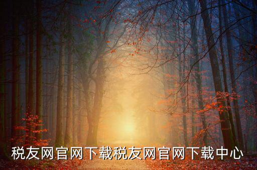 稅友如何下載，個稅在稅友網(wǎng)上下載下來了然后怎么安裝