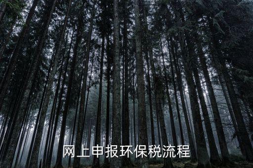 電子稅務(wù)局環(huán)保稅如何申報(bào)，2021年環(huán)保稅怎么申報(bào)