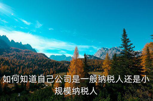 如何查詢一般納稅人還是小規(guī)模企業(yè)，如何看是一般納稅人還是小規(guī)模納稅人