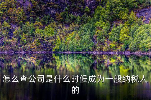 如何查詢一般人納稅認(rèn)定時間，怎么查公司是什么時候成為一般納稅人的