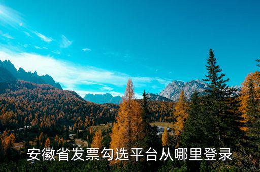 安徽省如何在網(wǎng)上申請(qǐng)購(gòu)發(fā)票，安徽省發(fā)票勾選平臺(tái)從哪里登錄