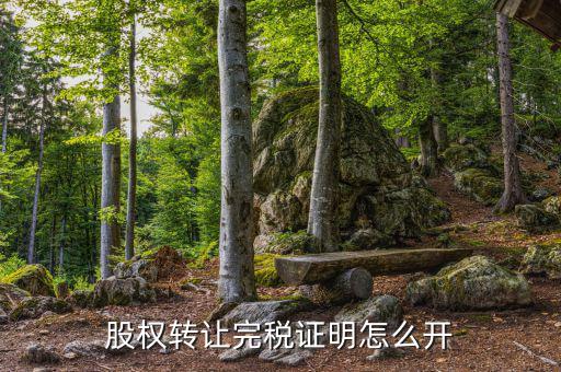 合肥股權(quán)轉(zhuǎn)讓如何開具完稅證明，完稅證明怎么開 如何開具稅收完稅證明