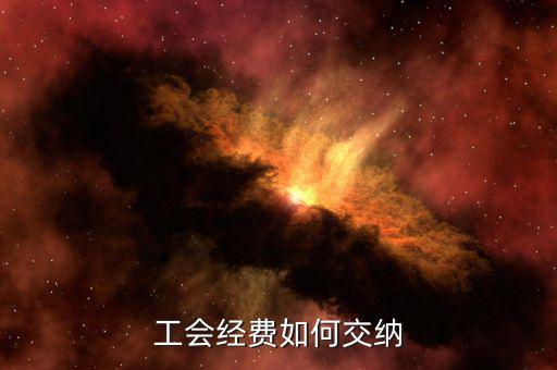 公司工會如何繳納，企業(yè)工會會費怎么交的