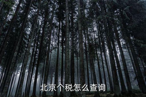 北京地稅局官網(wǎng)如何查個稅，怎么查詢最新北京個稅繳納情況