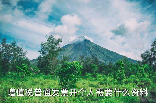 增值稅普通發(fā)票開個人需要什么資料