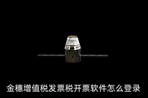 金穗增值稅發(fā)票稅開(kāi)票軟件怎么登錄