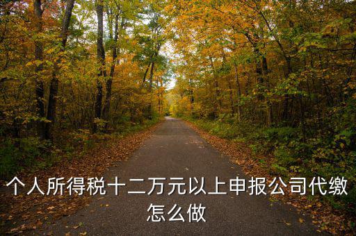 如何做好12萬(wàn)元申報(bào)征收工作，個(gè)人所得稅十二萬(wàn)元以上申報(bào)公司代繳怎么做
