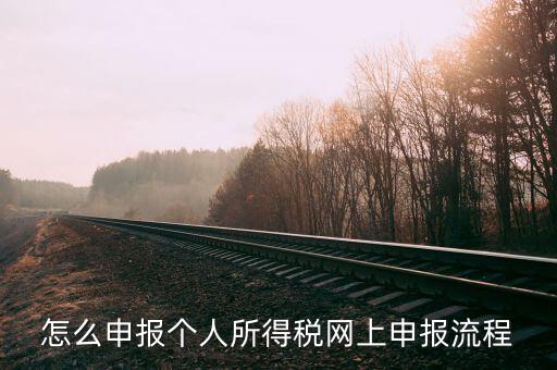 泉州個人所得稅如何網(wǎng)上申報，個人所得稅網(wǎng)上申報步驟
