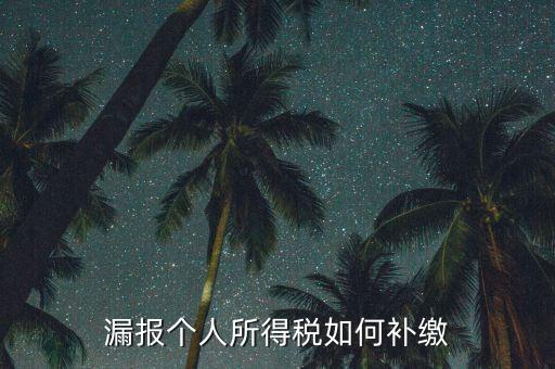 安徽省個稅如何補充申報，漏報個人所得稅如何補繳