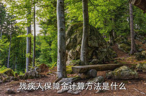 廣西殘疾人保障金如何計算，殘疾人保障金怎么計算