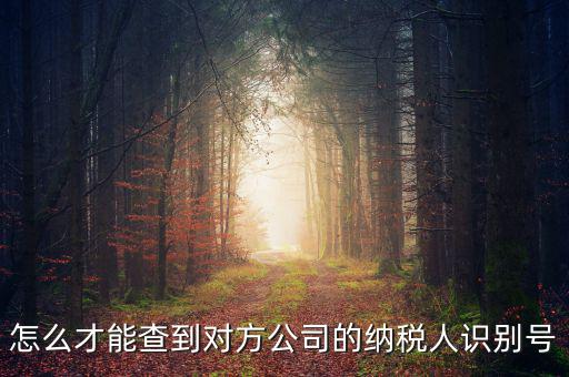 怎么才能查到對方公司的納稅人識(shí)別號(hào)