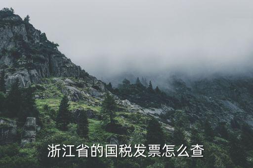 浙江的定額發(fā)票如何查詢，浙江省的國稅發(fā)票怎么查