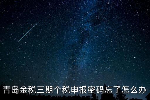 如何重置金三個稅系統(tǒng)申報密碼，青島金稅三期個稅申報密碼忘了怎么辦