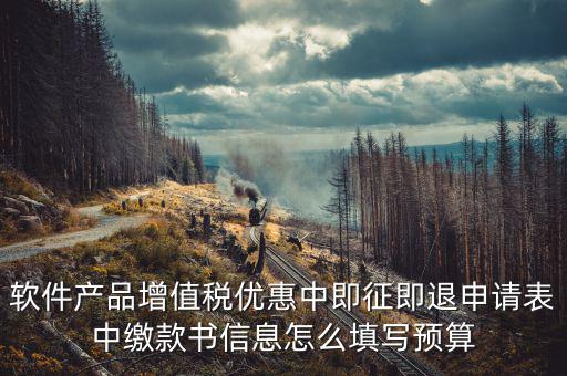 軟件產(chǎn)品增值稅優(yōu)惠中即征即退申請(qǐng)表中繳款書(shū)信息怎么填寫(xiě)預(yù)算
