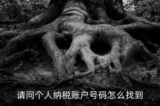如何查詢個(gè)人稅務(wù)編號查詢，如何查看個(gè)人名下的稅務(wù)證