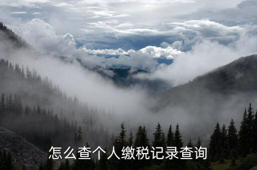 陜西省如何查詢(xún)個(gè)稅繳納記錄，怎樣查看個(gè)稅和附加稅是否已交