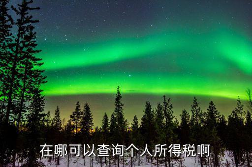 如何查詢個(gè)人所得稅記錄，在哪可以查詢個(gè)人所得稅啊