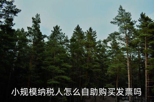 小規(guī)模如何領(lǐng)購發(fā)票，小規(guī)模納稅人領(lǐng)取發(fā)票程序