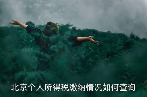 北京地稅個(gè)人如何查詢，如何查詢個(gè)人所得稅繳稅記錄