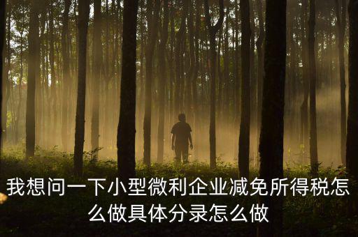 小微企業(yè)所得稅如何減免，我想問一下小型微利企業(yè)減免所得稅怎么做具體分錄怎么做