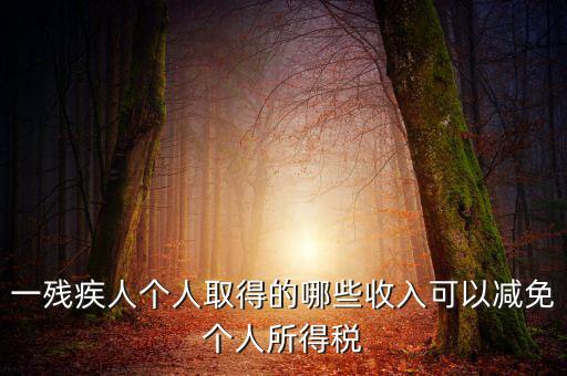 殘疾人減免個(gè)稅如何做賬，有殘疾人免稅證明在個(gè)人所得稅申報(bào)系統(tǒng)中如何填寫急