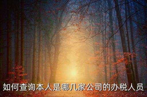 如何查詢企業(yè)辦稅人信息，怎么查詢單位登記稅務經(jīng)辦人