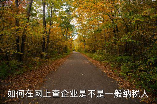 如何在網(wǎng)上查企業(yè)是不是一般納稅人