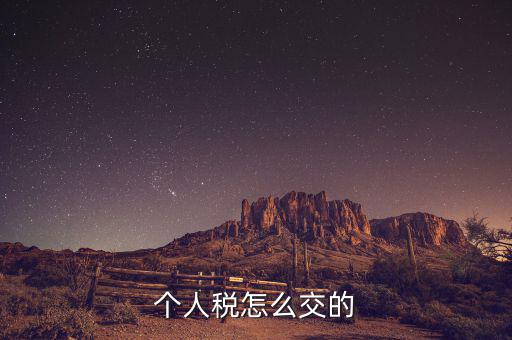 自然人如何繳納個稅，個人稅怎么交的