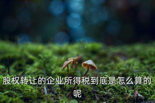股權轉(zhuǎn)讓的企業(yè)所得稅到底是怎么算的呢