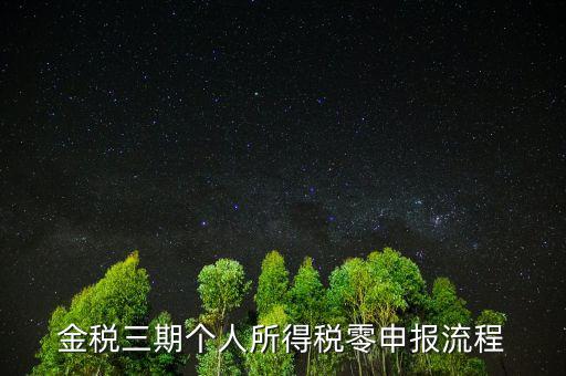 金稅三期個人所得稅零申報(bào)流程