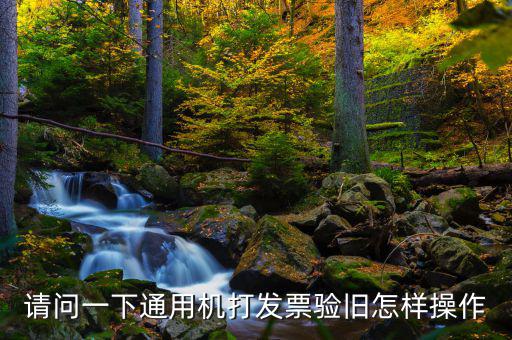 請問一下通用機打發(fā)票驗舊怎樣操作