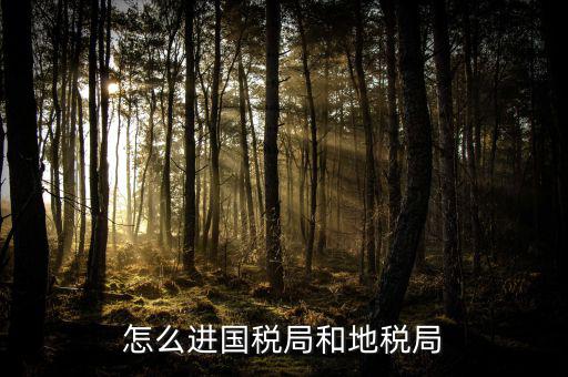 山西國稅系統(tǒng)如何進入地稅，怎么進國稅局和地稅局