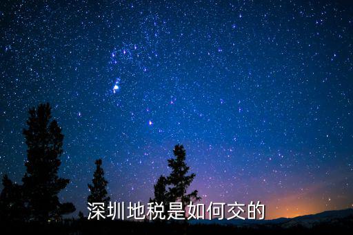 深圳市國家稅務(wù)局如何交稅，深圳市公司網(wǎng)上報(bào)國稅要這么操作啊
